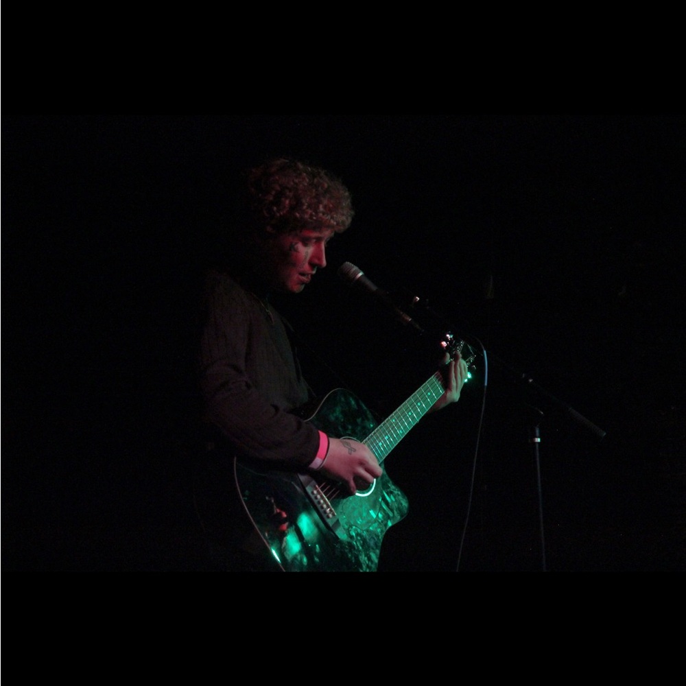 Meet your Posher, Rylan - Picture 3 of 3